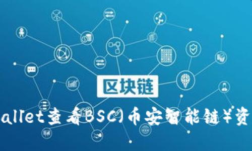 如何通过TPWallet查看BSC（币安智能链）资产和交易记录