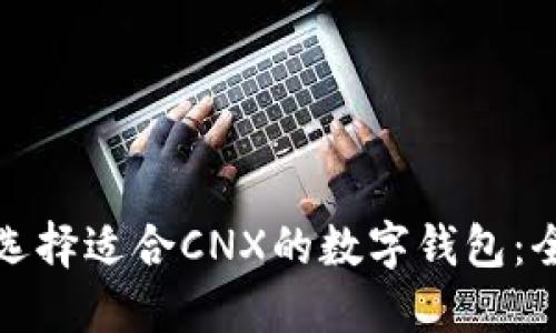 : 如何选择适合CNX的数字钱包：全面指南