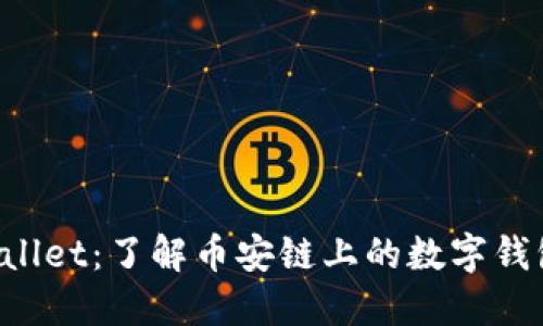  TPWallet：了解币安链上的数字钱包功能