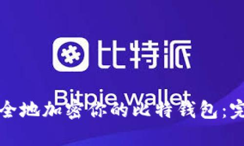 如何安全地加密你的比特钱包:完整指南