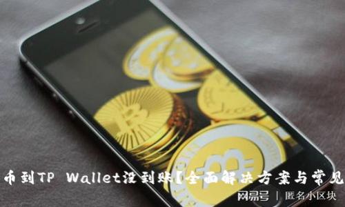 : 火币转币到TP Wallet没到账?全面解决方案与常见问题解答