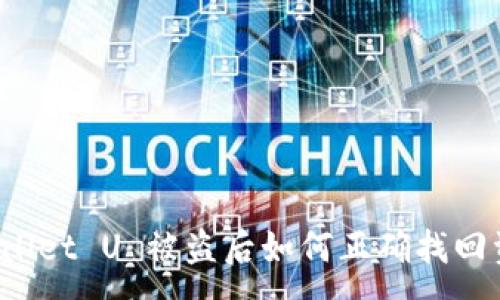 :
TPWallet U 被盗后如何正确找回资金?