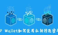   TP Wallet如何使用私钥修改密码