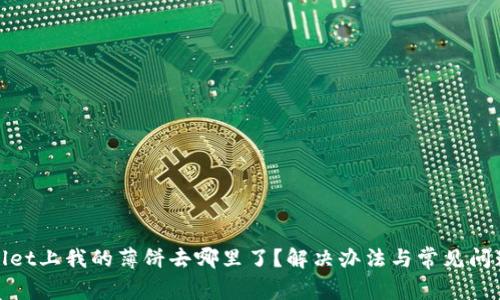tpwallet上我的薄饼去哪里了?解决办法与常见问题解析