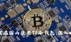 如何在国内使用TP冷钱包：深入指南