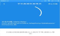 如何下载TPWallet电脑版：详细指导与常