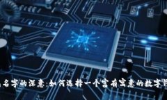 数字钱包名字的深意：如何选择一个富