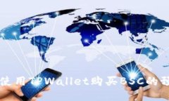 如何使用TPWallet购买BSC的预售币