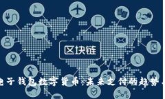 全球电子钱包数字货币：未来支付的趋