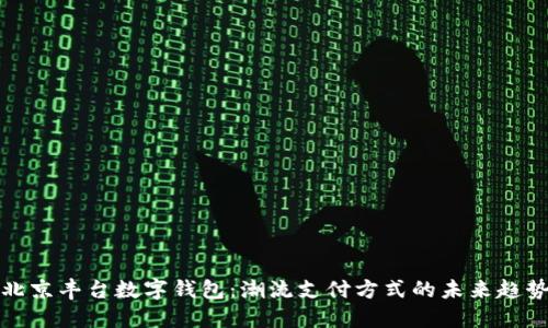 北京丰台数字钱包:潮流支付方式的未来趋势