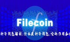 区块链种子钱包解析：什么是种子钱包