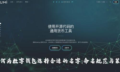 如何为数字钱包选择合适的名字:命名规范与策略