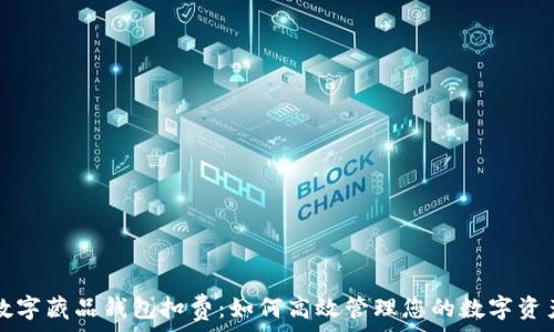 数字藏品钱包扣费:如何高效管理您的数字资产