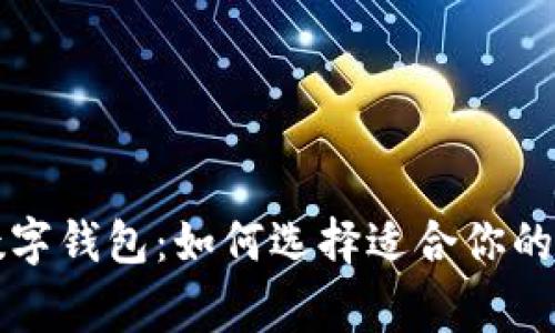 国际常用的数字钱包:如何选择适合你的电子支付工具
