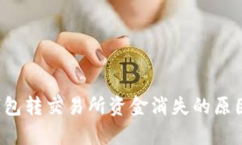 文章 数字钱包转交易所资金消失的原因及解决方案