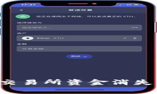 文章 数字钱包转交易所资金消失的原因及解决方案