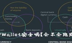 TPWallet安全吗？会不会跑路？