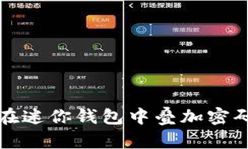 如何在迷你钱包中叠加密码保护