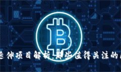 优质TPWallet延伸项目解析：那些值得关