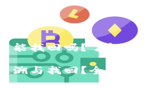 在TPWallet里的币被盗能找回吗?了解加密货币安全及找回机制
TPWallet币盗窃能否追溯与找回?全面解析