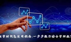 区块链雪球钱包使用指南：一步步教你