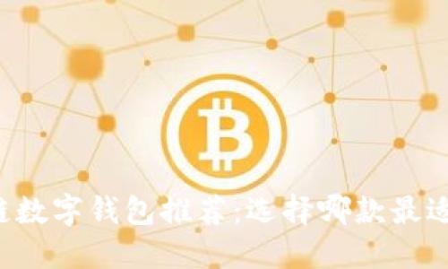 区块链数字钱包推荐:选择哪款最适合你?