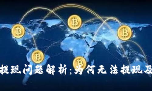 数字钱包提现问题解析:为何无法提现及解决方案