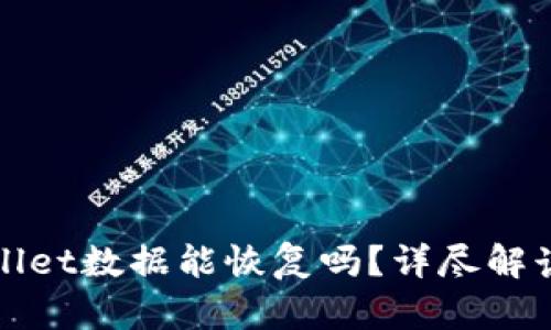 : 安卓TPWallet数据能恢复吗?详尽解读与实用指南