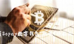 全面解析Sopay数字钱包：现状、功能及