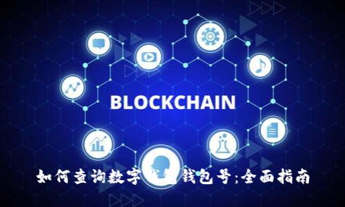 如何查询数字钱包钱包号:全面指南