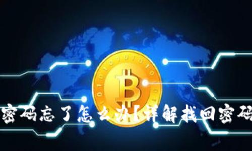 tpwallet钱包支付密码忘了怎么办?详解找回密码的步骤与注意事项