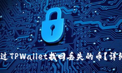 biaso如何通过TPWallet找回丢失的币?详细指南与步骤