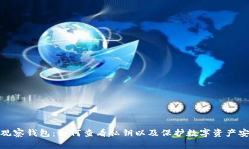 TP观察钱包:如何查看私钥以及保护数字资产安全
