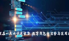 如何在一天内快速放款：数字钱包的优
