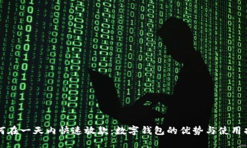 如何在一天内快速放款：数字钱包的优势与使用指南