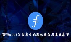 TPWallet公司离开大陆的原因与未来展望