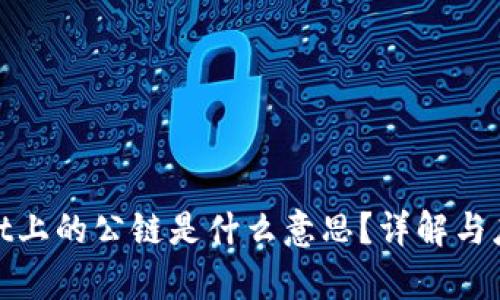 tpwallet上的公链是什么意思?详解与应用背景