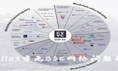 解决TPWallet中无BSC网络问题的全面指南