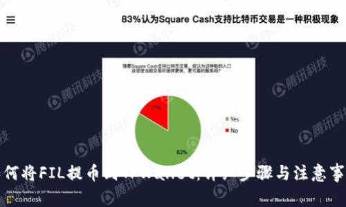 如何将FIL提币到TPWallet:详细步骤与注意事项