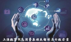 上海数字钱包消费券损失解析与补救方