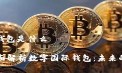 数字国际钱包是什么### 全面解析数字