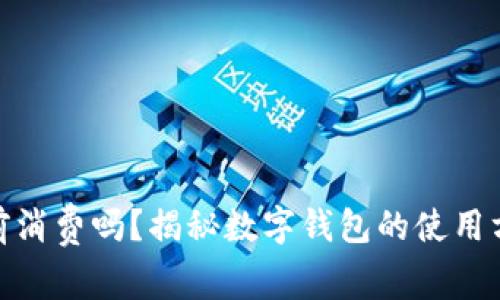 数字钱包能提前消费吗?揭秘数字钱包的使用方式与潜在风险