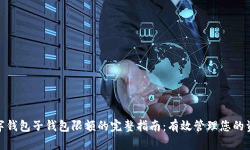 数字钱包子钱包限额的完整指南：有效管理您的资金