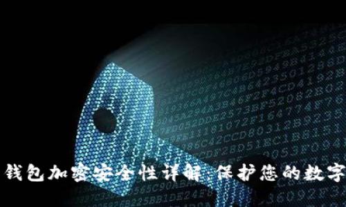 数字钱包加密安全性详解:保护您的数字资产