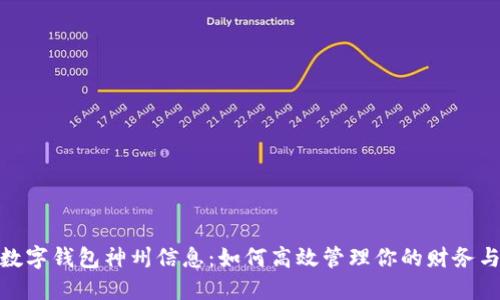建行数字钱包神州信息:如何高效管理你的财务与支付