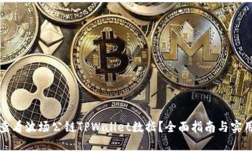 如何查看波场公链TPWallet数据?全面指南与实用技巧