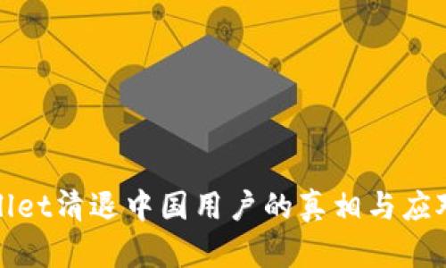 TPWallet清退中国用户的真相与应对措施