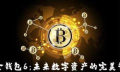 数字黄金钱包6：未来数字资产的完美