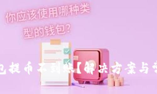 数字货币钱包提币不到账?解决方案与常见问题详解