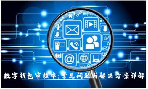 数字钱包审核中:常见问题与解决方案详解